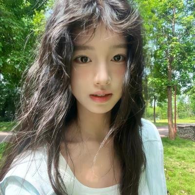 极地先锋